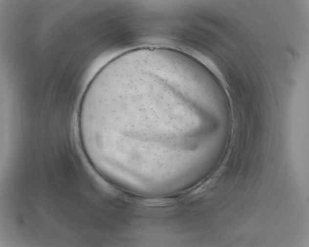 X0000113741440200910140954