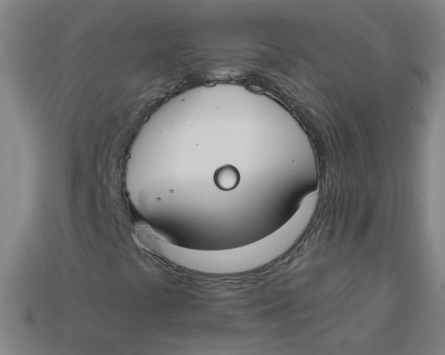 X0000113741441200910140953