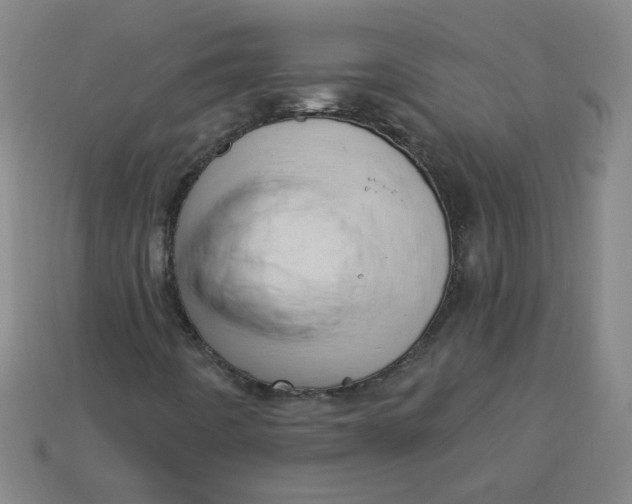 X0000113741442200910140953