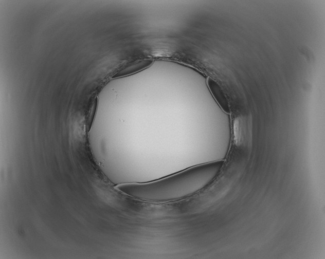 X0000113741443200910140953