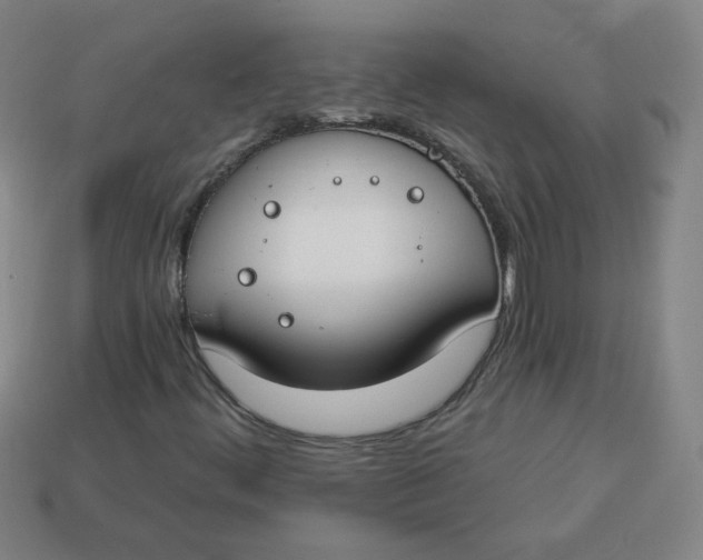 X0000113741444200910140953