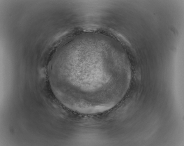 X0000113741445200910140953