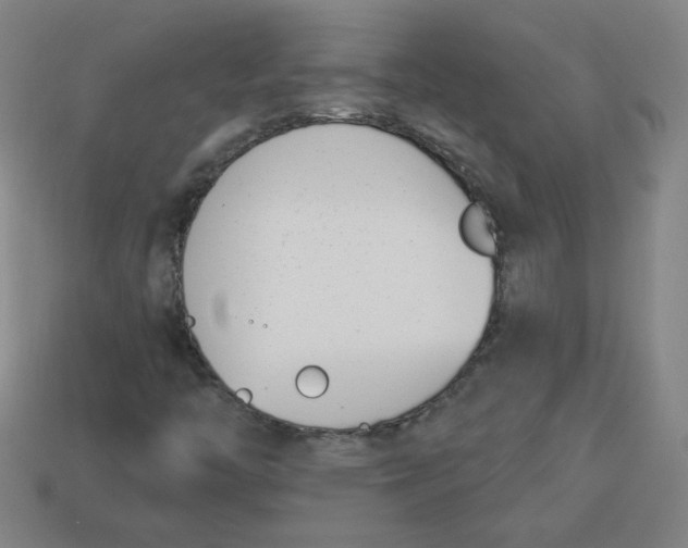 X0000113741446200910140953