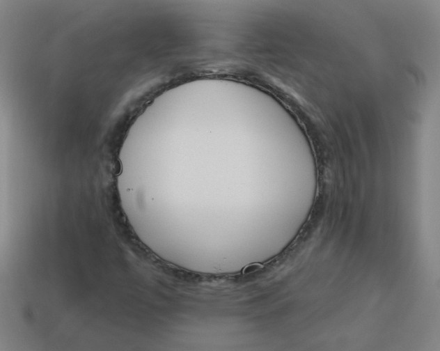 X0000113741447200910140953