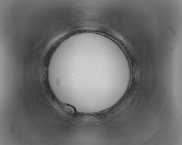 X0000113741448200910140953