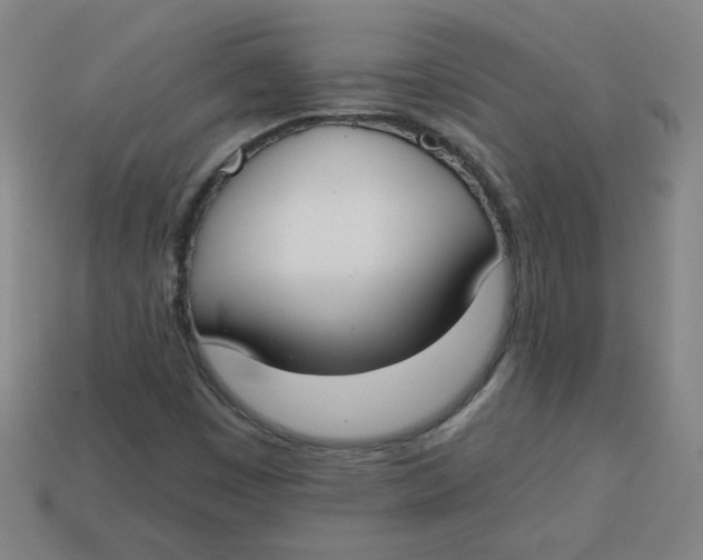 X0000113741449200910140953