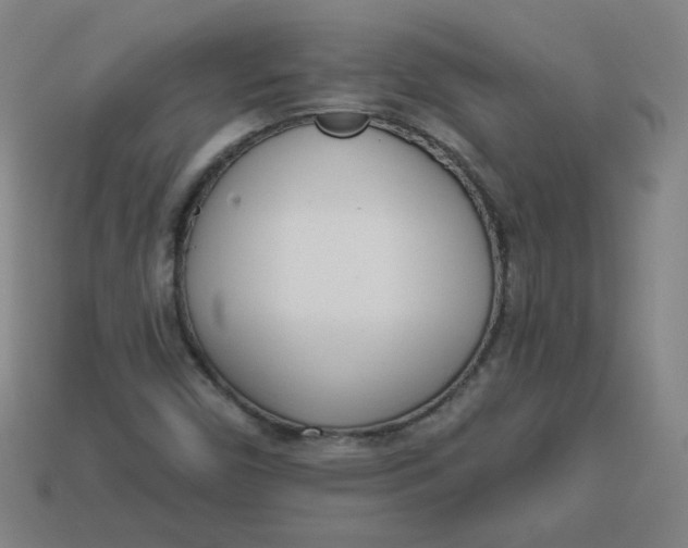 X0000113741450200910140953