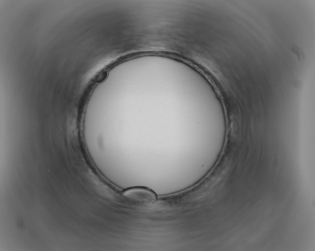 X0000113741452200910140953