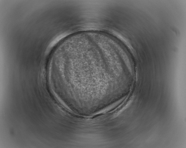 X0000113741453200910140953