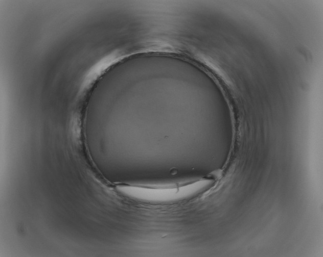 X0000113741455200910140953