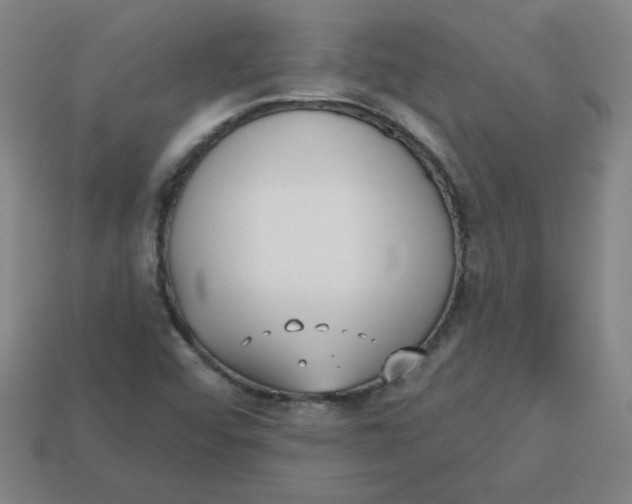 X0000113741456200910140953