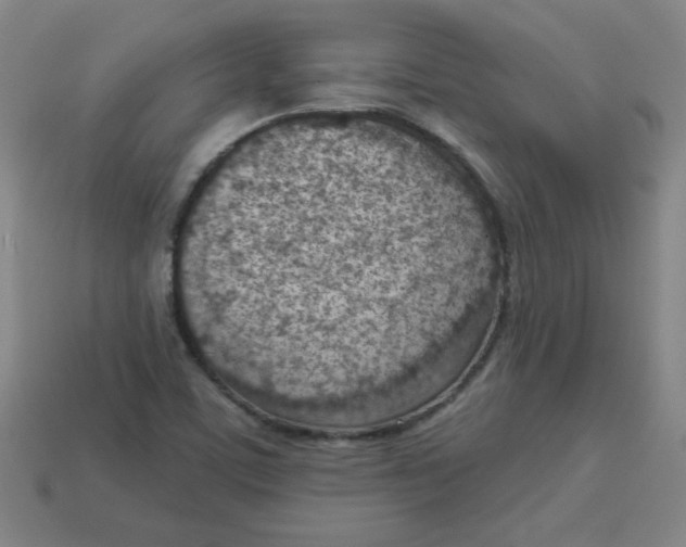 X0000113741459200910140953