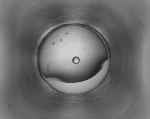 X0000113741460200910140953