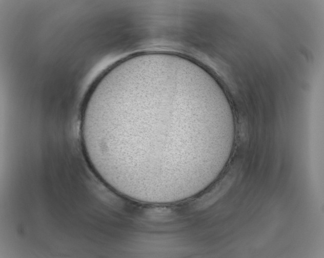 X0000113741462200910140953