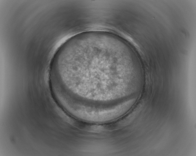 X0000113741463200910140953