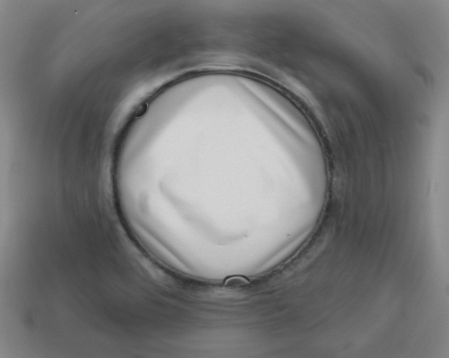 X0000113741464200910140953