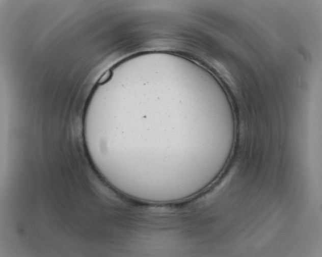 X0000113741465200910140953