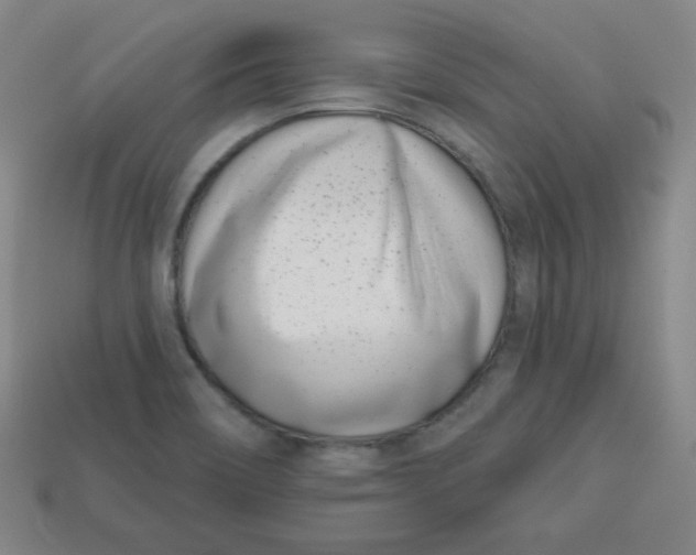 X0000113741466200910140953