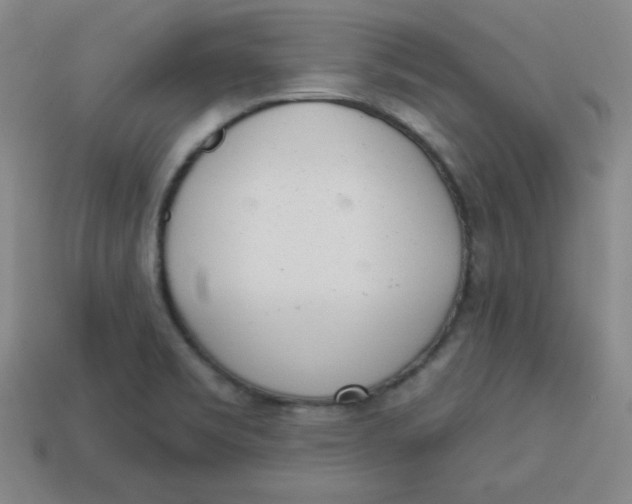 X0000113741469200910140953