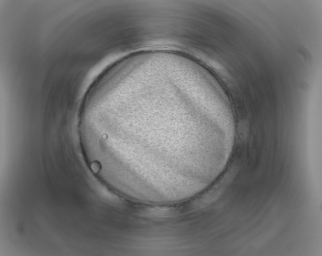 X0000113741470200910140953