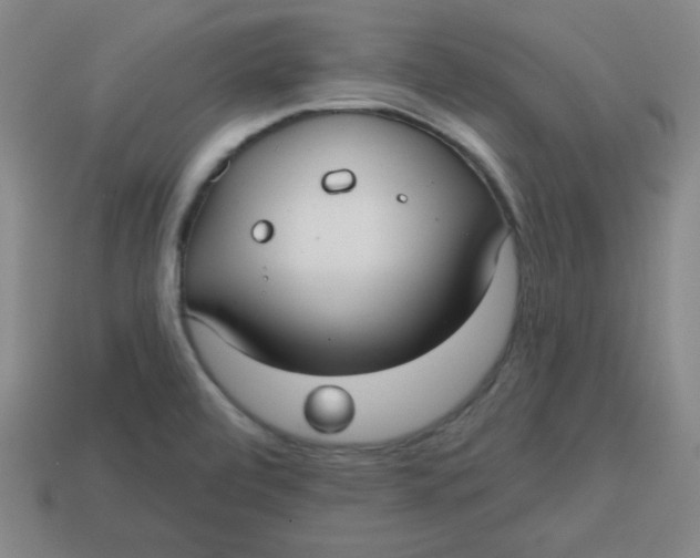 X0000113741472200910140953