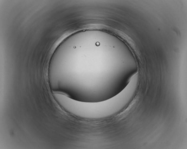 X0000113741473200910140953