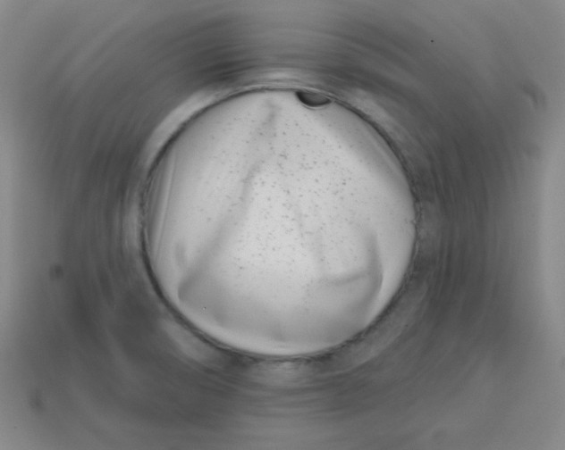 X0000113741474200910140953