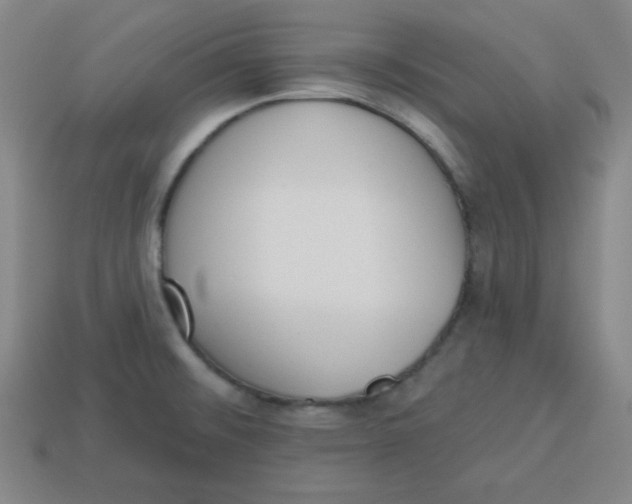 X0000113741476200910140953