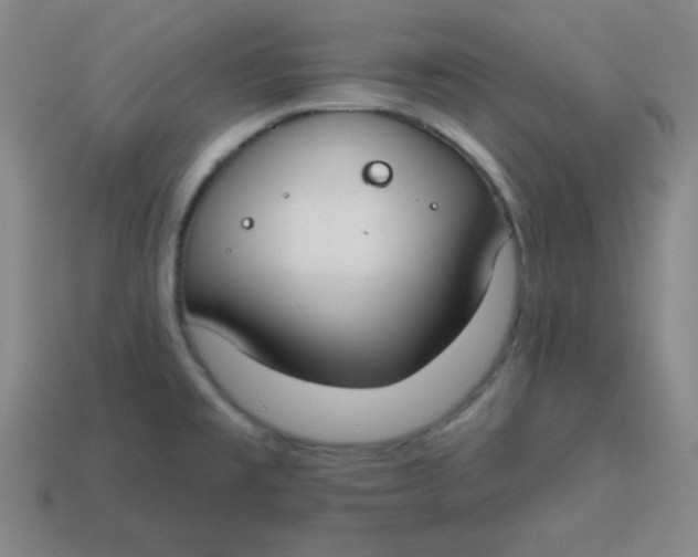 X0000113741477200910140953