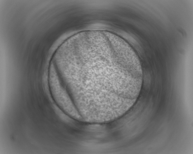 X0000113741478200910140953