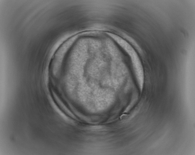 X0000113741479200910140953