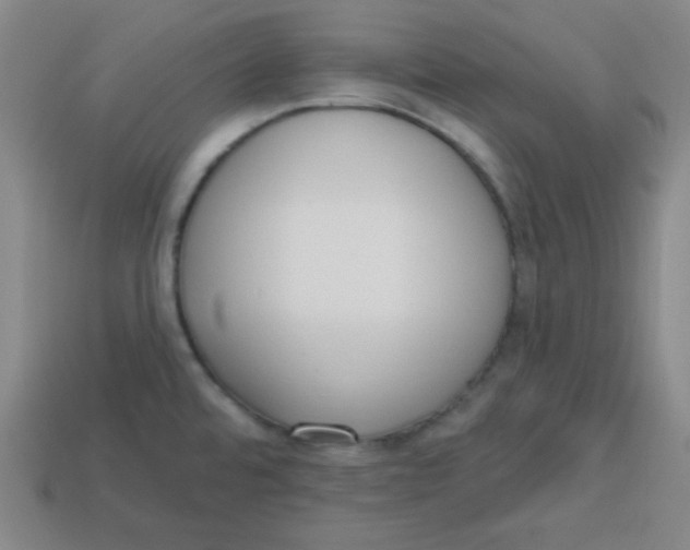 X0000113741480200910140953