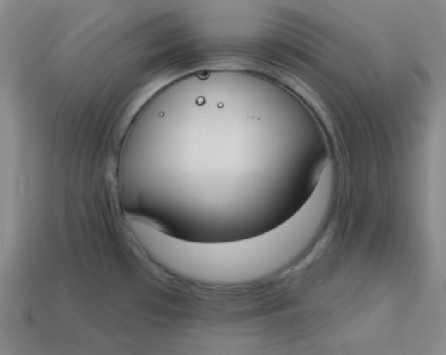 X0000113741481200910140953