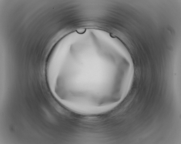 X0000113741482200910140953