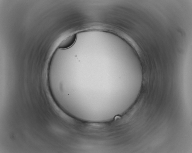 X0000113741483200910140953