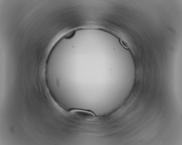 X0000113741484200910140953