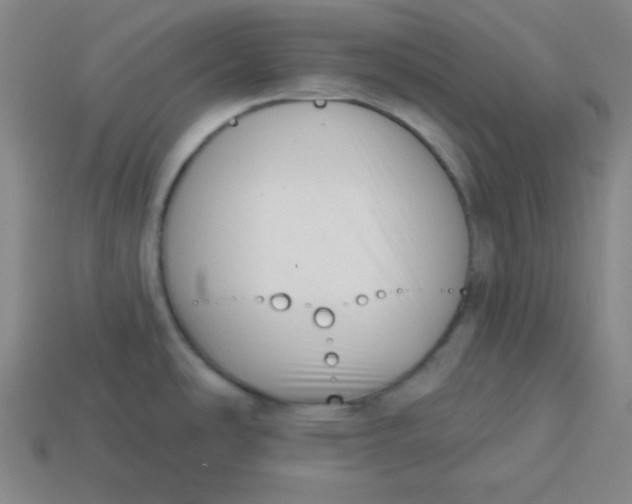 X0000113741486200910140953