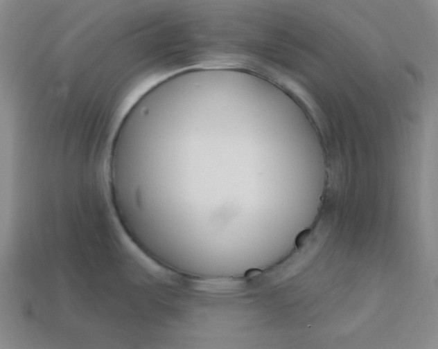 X0000113741487200910140953