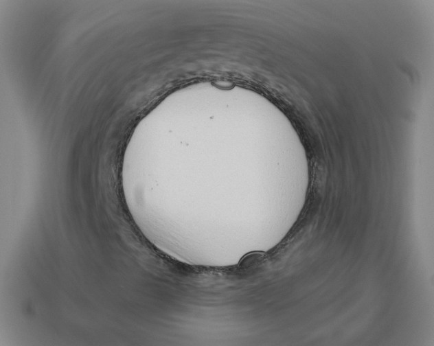 X0000113741489200910140952