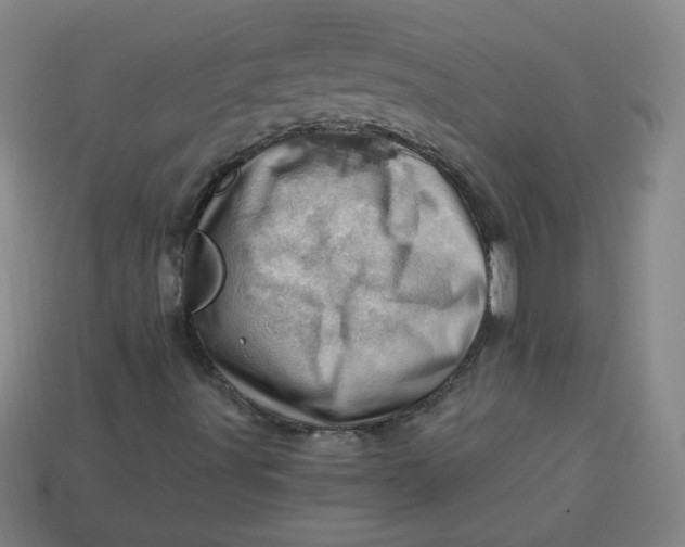 X0000113741491200910140952