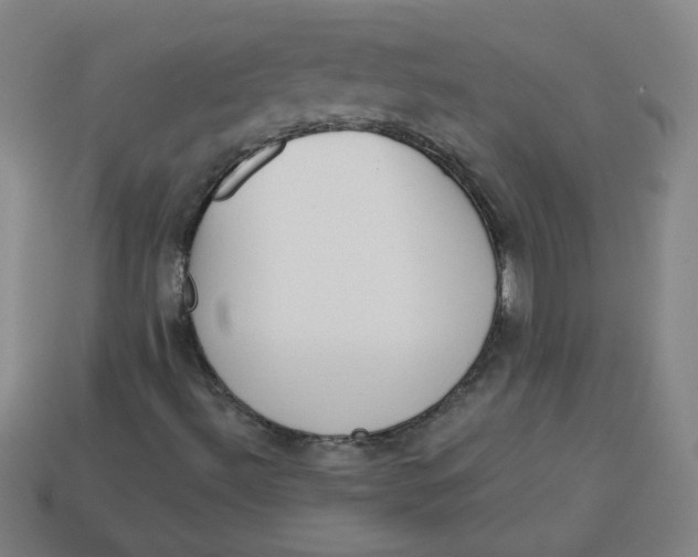 X0000113741492200910140952