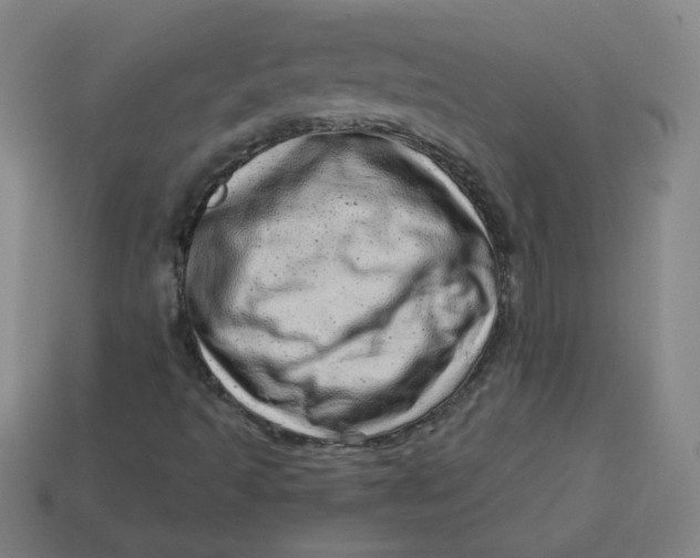 X0000113741493200910140952