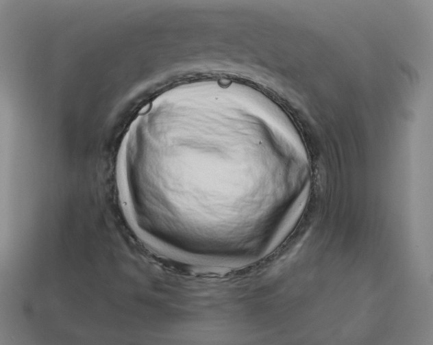 X0000113741494200910140952