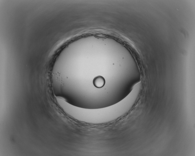 X0000113741496200910140952