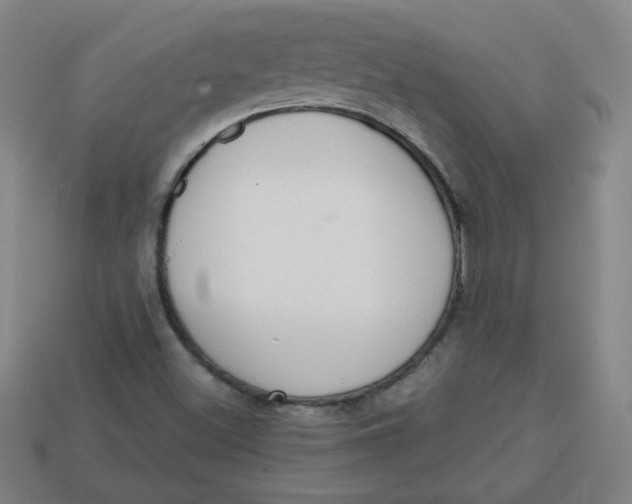 X0000113741500200910140952