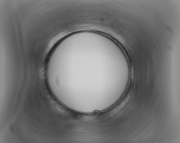 X0000113741501200910140952