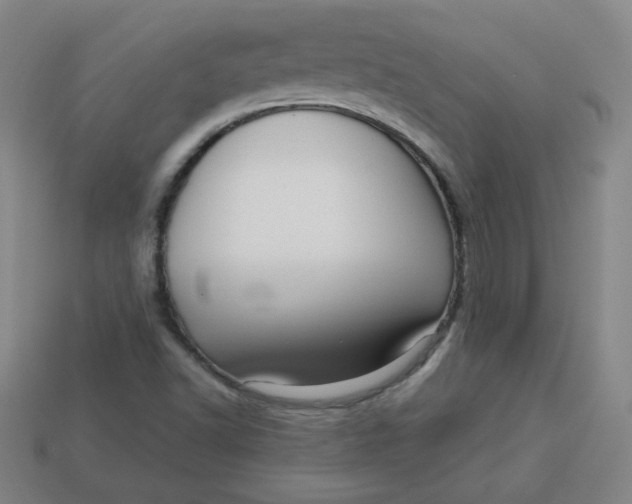 X0000113741502200910140952