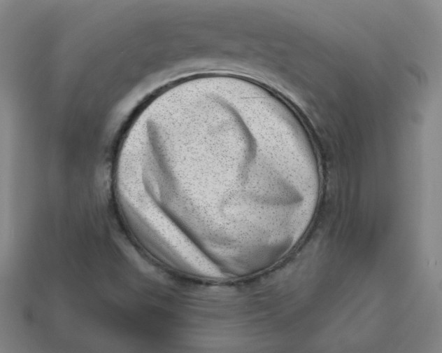 X0000113741503200910140952