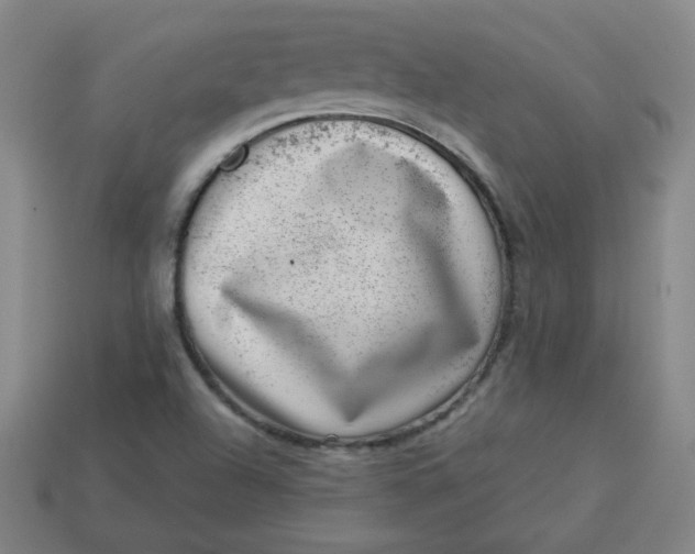 X0000113741504200910140952