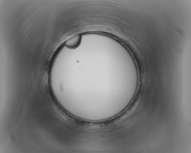 X0000113741505200910140952